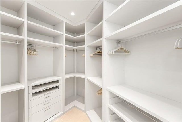 view of spacious closet