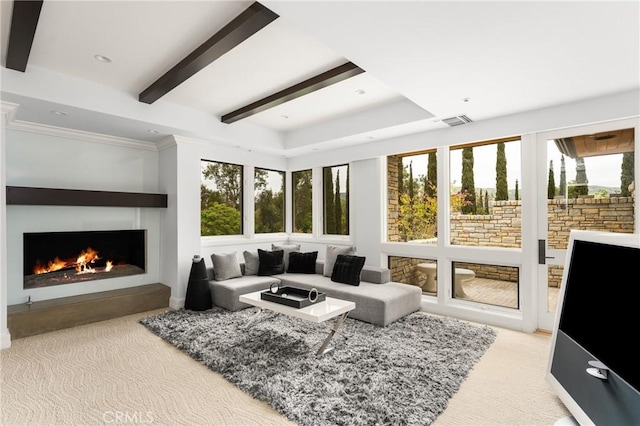 carpeted living room featuring beamed ceiling, a warm lit fireplace, visible vents, and ornamental molding