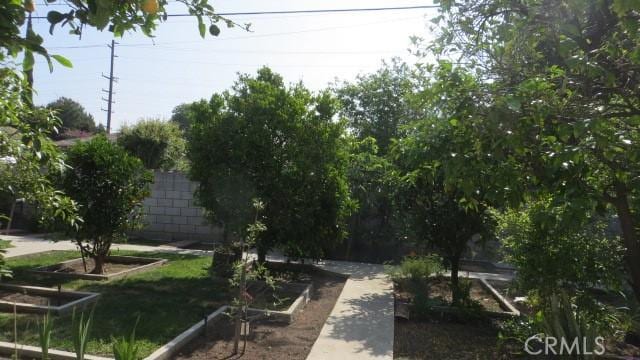 506 N Sunset Ave, Azusa, CA 91702 - surrounding community with a garden