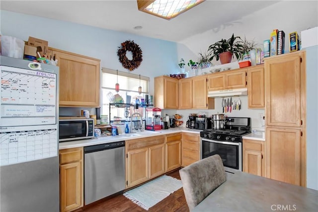 kitchen featuring under cabinet range hood, light brown cabinets, stainless steel appliances, and a sink