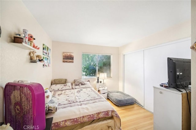bedroom with wood finished floors and a closet