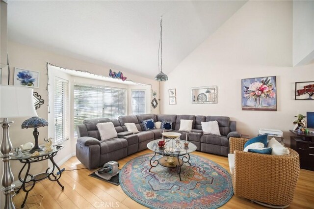 living room featuring wood finished floors and high vaulted ceiling