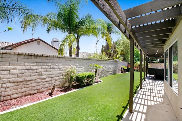 view of yard with a fenced backyard and a patio
