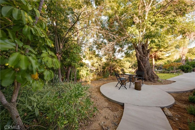 view of property's community with a patio area