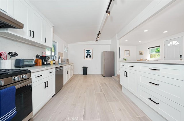 kitchen featuring stainless steel appliances, a sink, light wood-type flooring, under cabinet range hood, and rail lighting