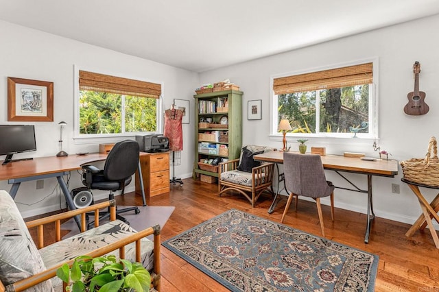 office with a wealth of natural light, wood finished floors, and baseboards