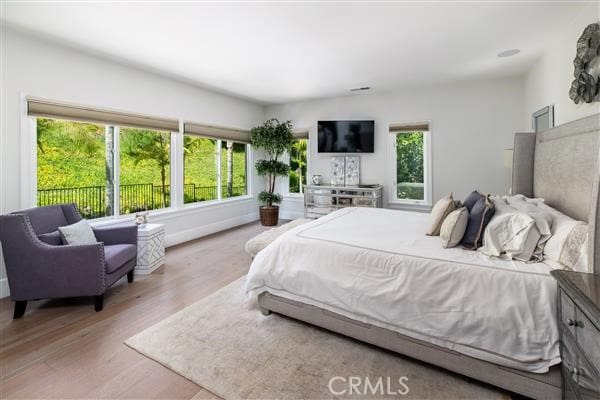 30451 Marbella Vis, San Juan Capistrano, CA 92675 - photo 14