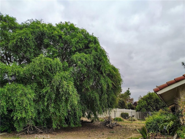 14055 Camino Del Oro, Riverside, CA 92508 - view of yard