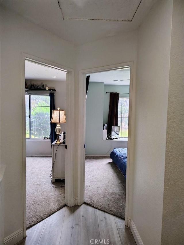 14055 Camino Del Oro, Riverside, CA 92508 - hall featuring healthy amount of natural light, wood finished floors, and baseboards