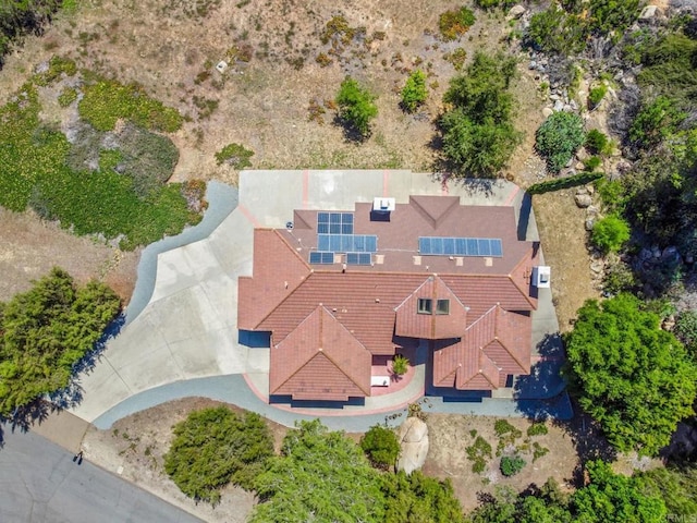 3602 Hidden Ridge Rd, Jamul, CA 91935 - photo 9