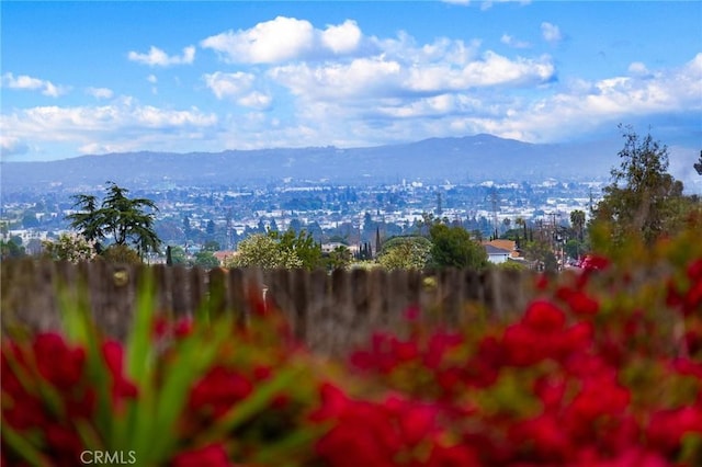 view of mountain feature