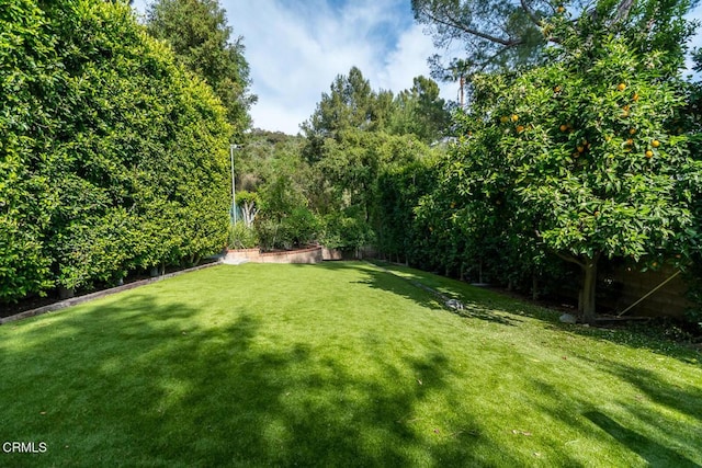5290 La Canada Blvd, La Canada Flintridge, CA 91011 - photo 6