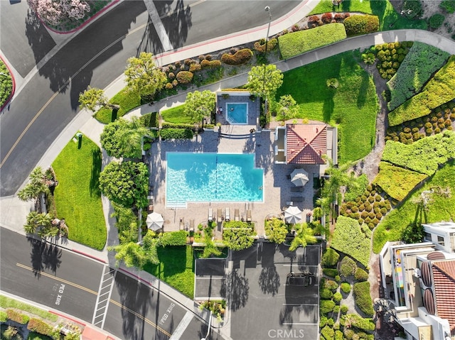 bird's eye view