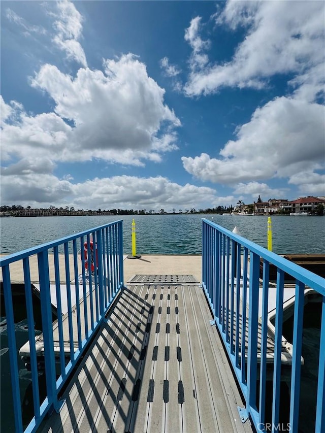 dock area with a water view