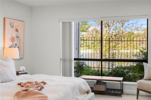 bedroom with multiple windows and carpet floors