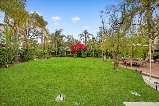 view of yard with a patio area