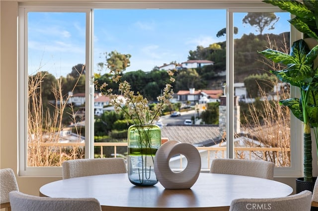 dining area featuring a wealth of natural light