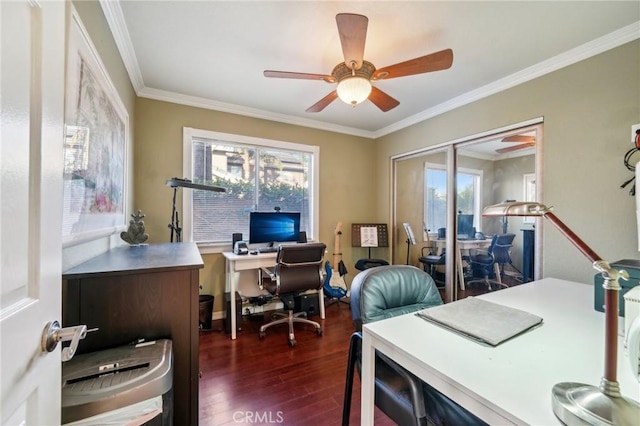 office space with crown molding, a ceiling fan, and dark wood-style floors