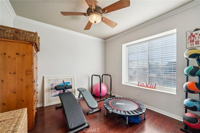 exercise room with wood finished floors, baseboards, and ornamental molding
