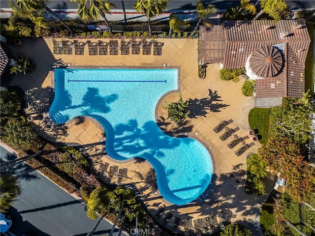 view of swimming pool