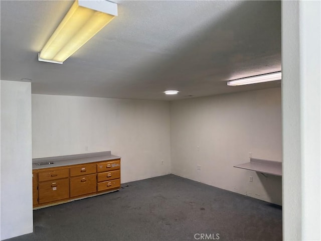 finished basement with dark carpet