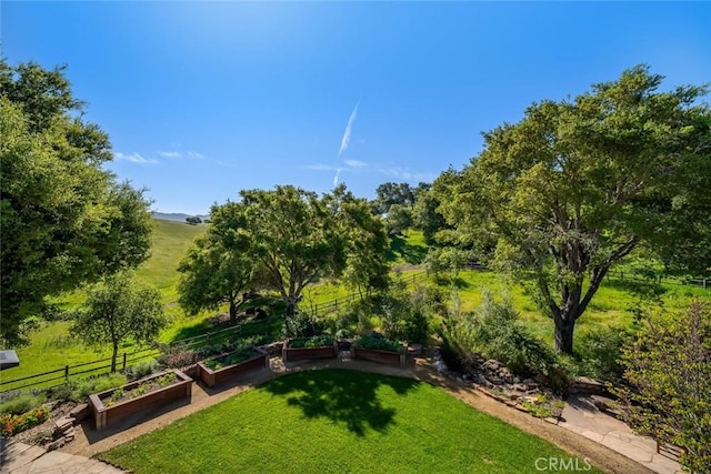 surrounding community featuring fence, a vegetable garden, and a yard