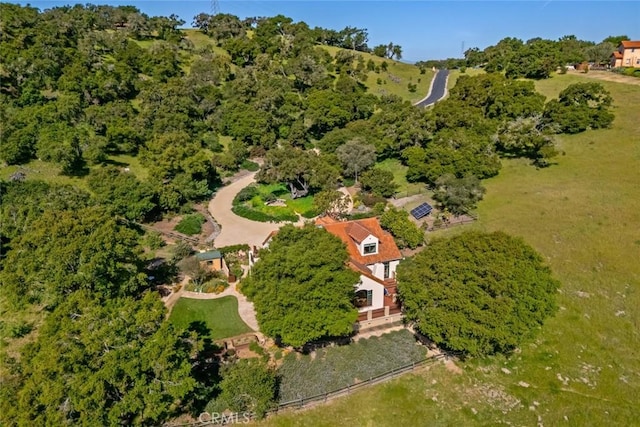 aerial view