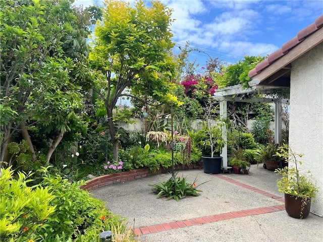view of yard with a patio area