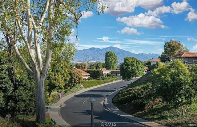 mountain view