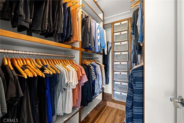 walk in closet featuring wood finished floors
