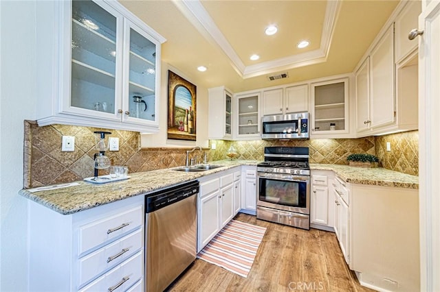 kitchen featuring crown molding, a sink, light wood-style floors, stainless steel appliances, and a tray ceiling
