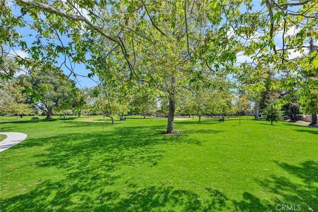 view of green lawn