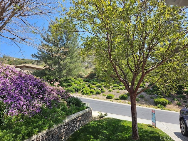 5536 Breckenridge Ave, Banning, CA 92220 - view of yard