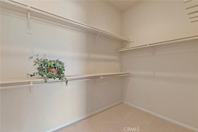 5536 Breckenridge Ave, Banning, CA 92220 - walk in closet featuring light carpet