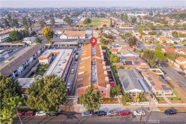 bird's eye view