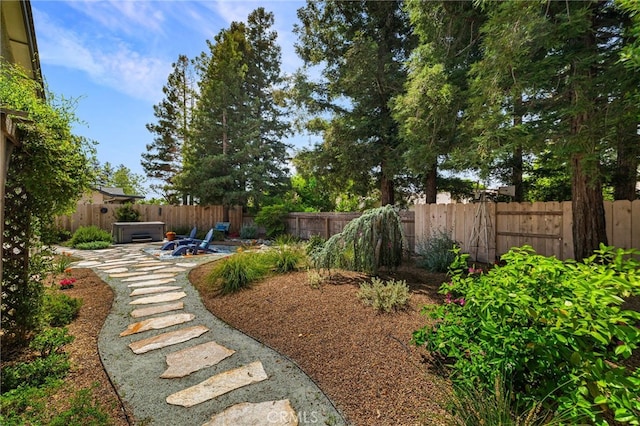 view of yard with a patio area, a fenced backyard, and a hot tub