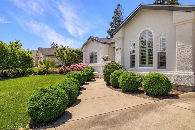 view of front of property with a front lawn and stucco siding