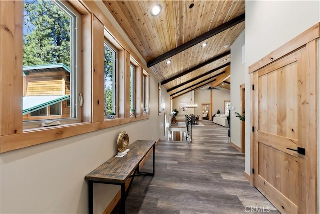 867 Clement St, South Lake Tahoe, CA 96150 - hallway with wood ceiling, recessed lighting, and wood finished floors