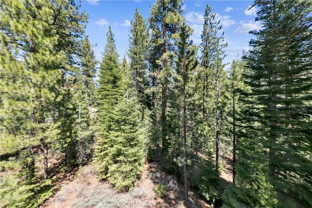 867 Clement St, South Lake Tahoe, CA 96150 - view of wooded area