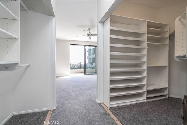 230 Lille Ln Unit 214, Newport Beach, CA 92663 - spacious closet with carpet floors and ceiling fan