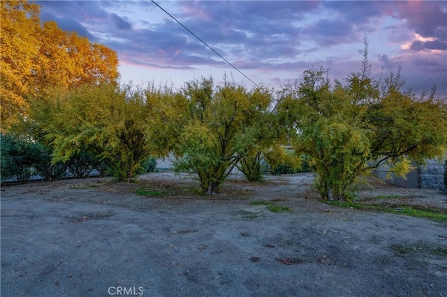 5646 E Park Circle Dr, Fresno, CA 93727 - view of yard at dusk