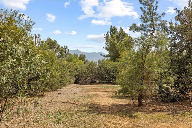 view of nature featuring a mountain view
