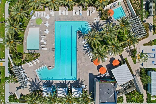 bird's eye view