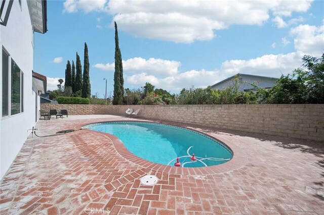 view of pool with a patio area, a fenced backyard, and a fenced in pool