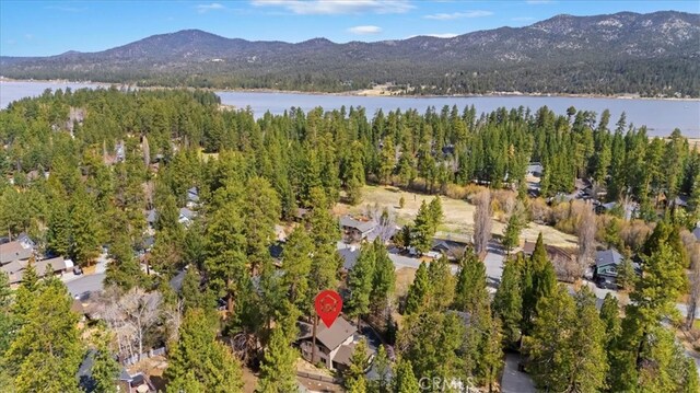 aerial view featuring a forest view and a water and mountain view
