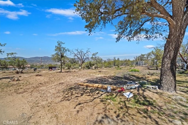 63285 Pinyon Dr, Mountain Center, CA 92561 - view of yard featuring a mountain view