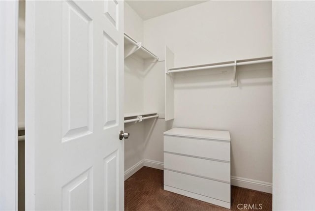 1732 Gamble Ln, Escondido, CA 92029 - view of spacious closet