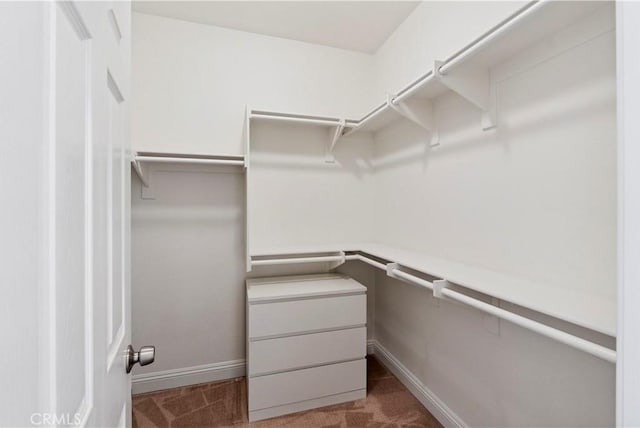 1732 Gamble Ln, Escondido, CA 92029 - view of spacious closet