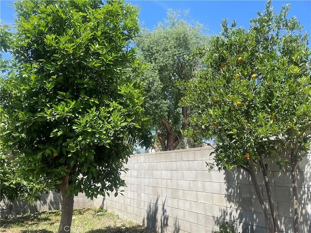 8772 Mignonette St, Rancho Cucamonga, CA 91701 - exterior view