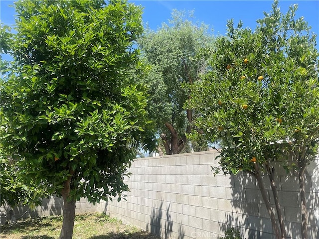 8772 Mignonette St, Rancho Cucamonga, CA 91701 - exterior view